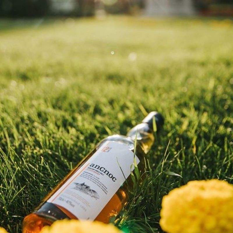anCnoc 12 Year Old Scotch Whisky - Image 3